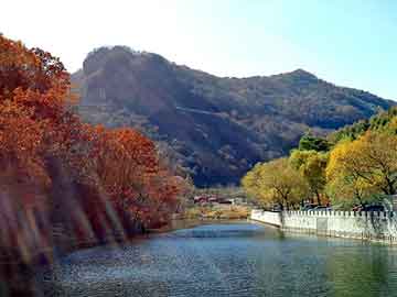 新澳天天开奖资料大全旅游团，天与地结局